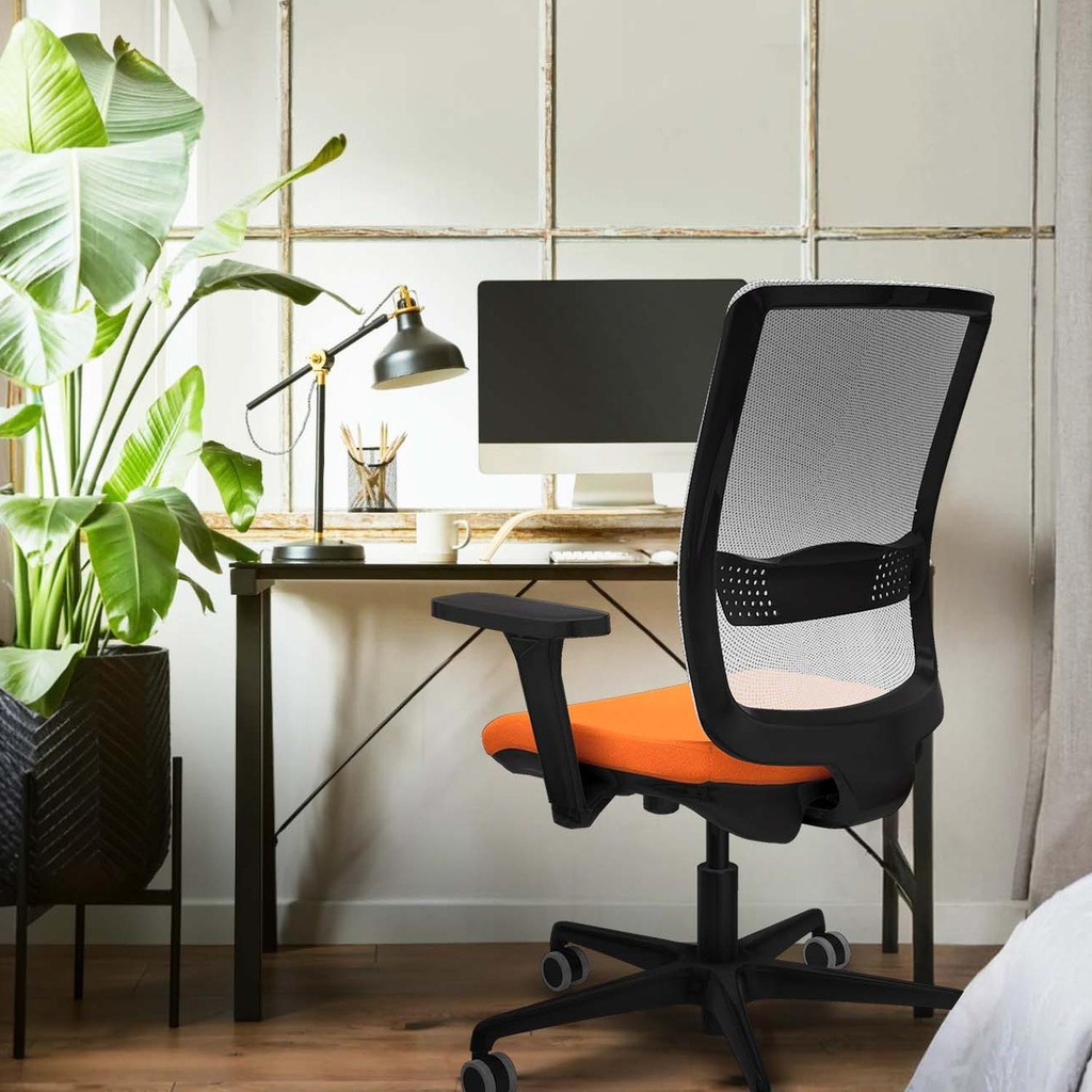 395stmbb3d036g0 tecnica 2.jpg