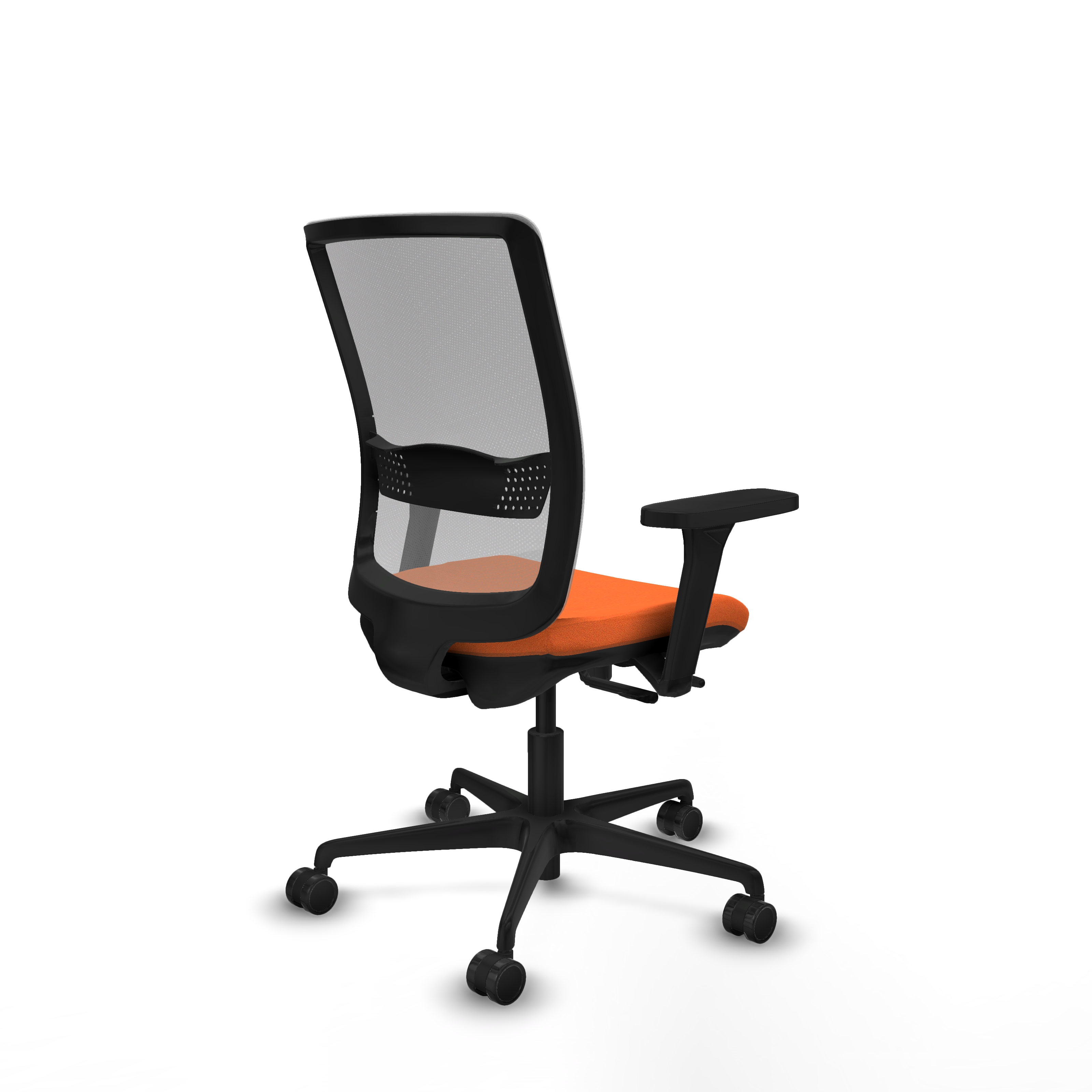 395stm3b308b3d036n0 360 (6).jpg