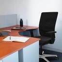 395stmsb2d086n0 tecnica 3.jpg