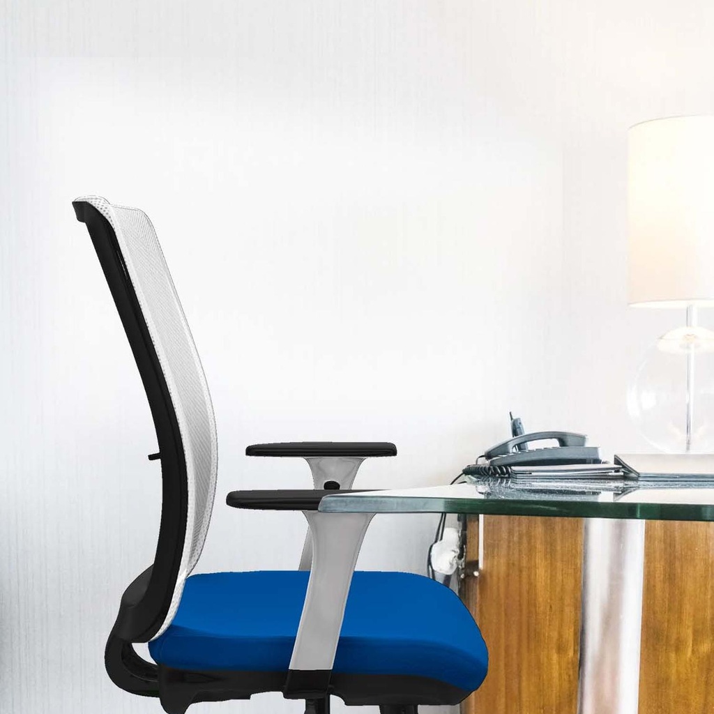 395stmsb1b086g0 tecnica 3.jpg