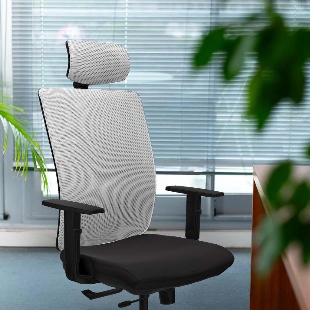 395stmsb1d086g2 tecnica 3.jpg