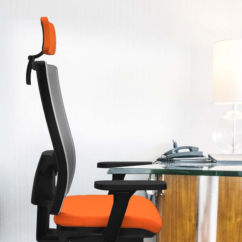 10s4mbb3d086g2 tecnica.jpg