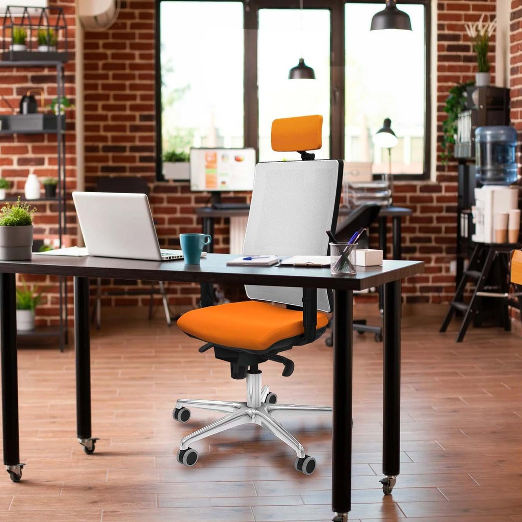 10s4msb1d086g2 tecnica.jpg