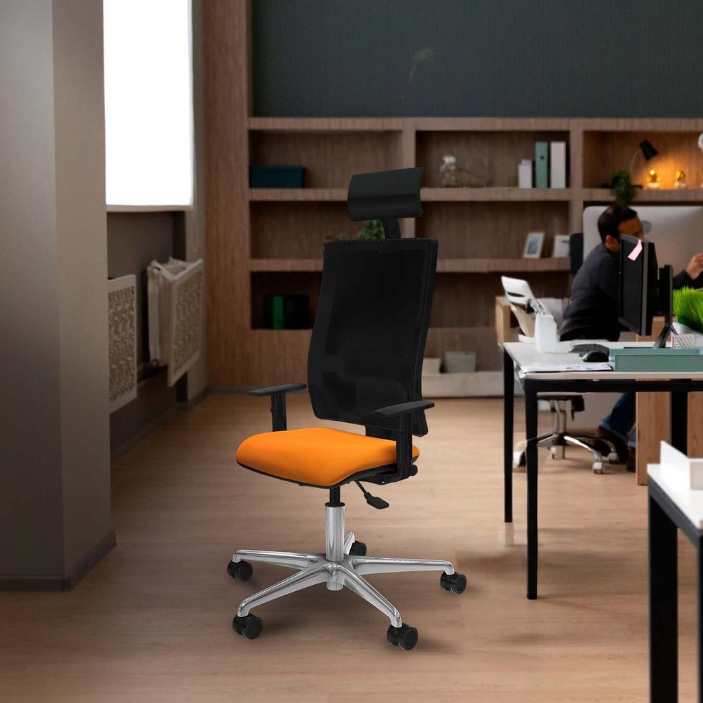 405asmsb1d086n1 tecnica 3.jpg