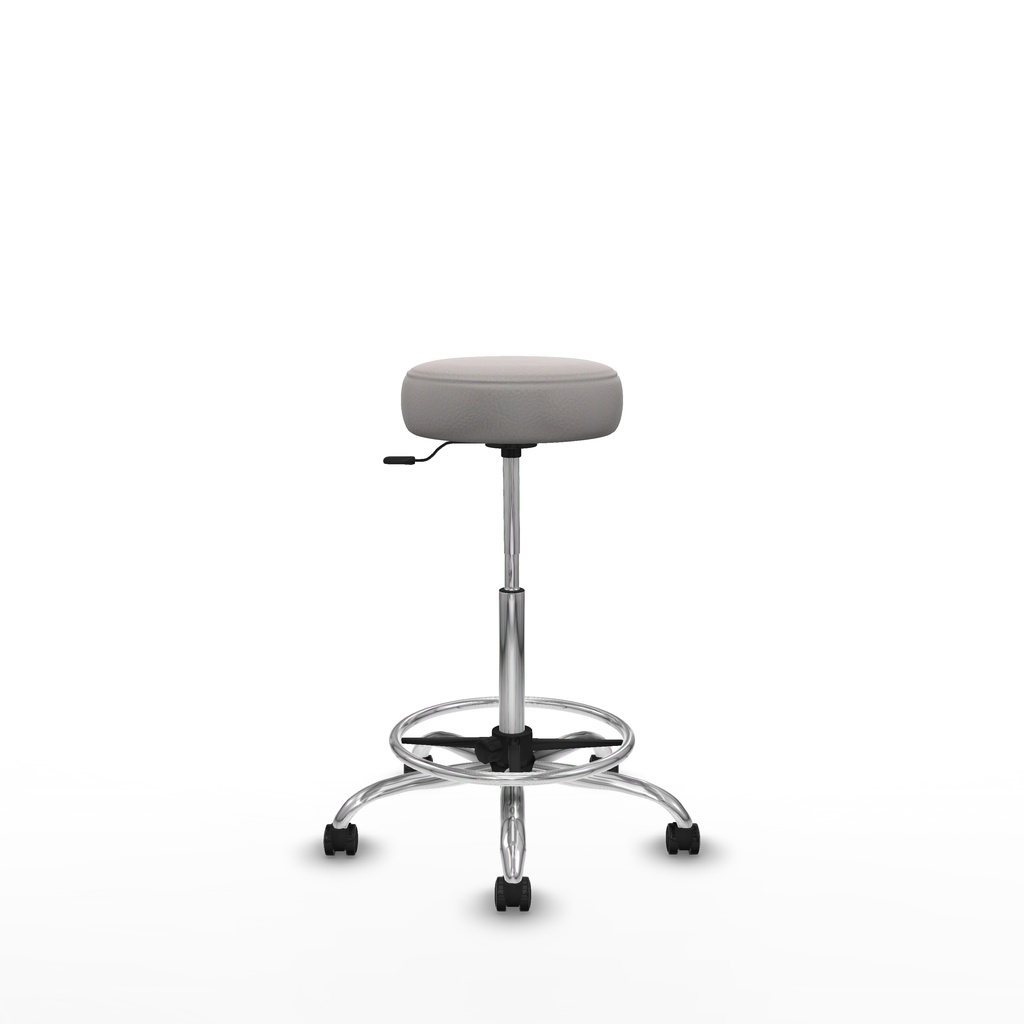 t10gis1005rp1 360 (1).jpg