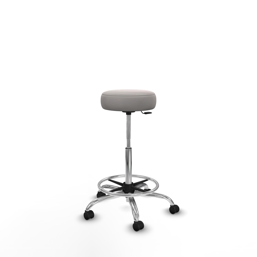 t10gis1005rp1 360 (4).jpg