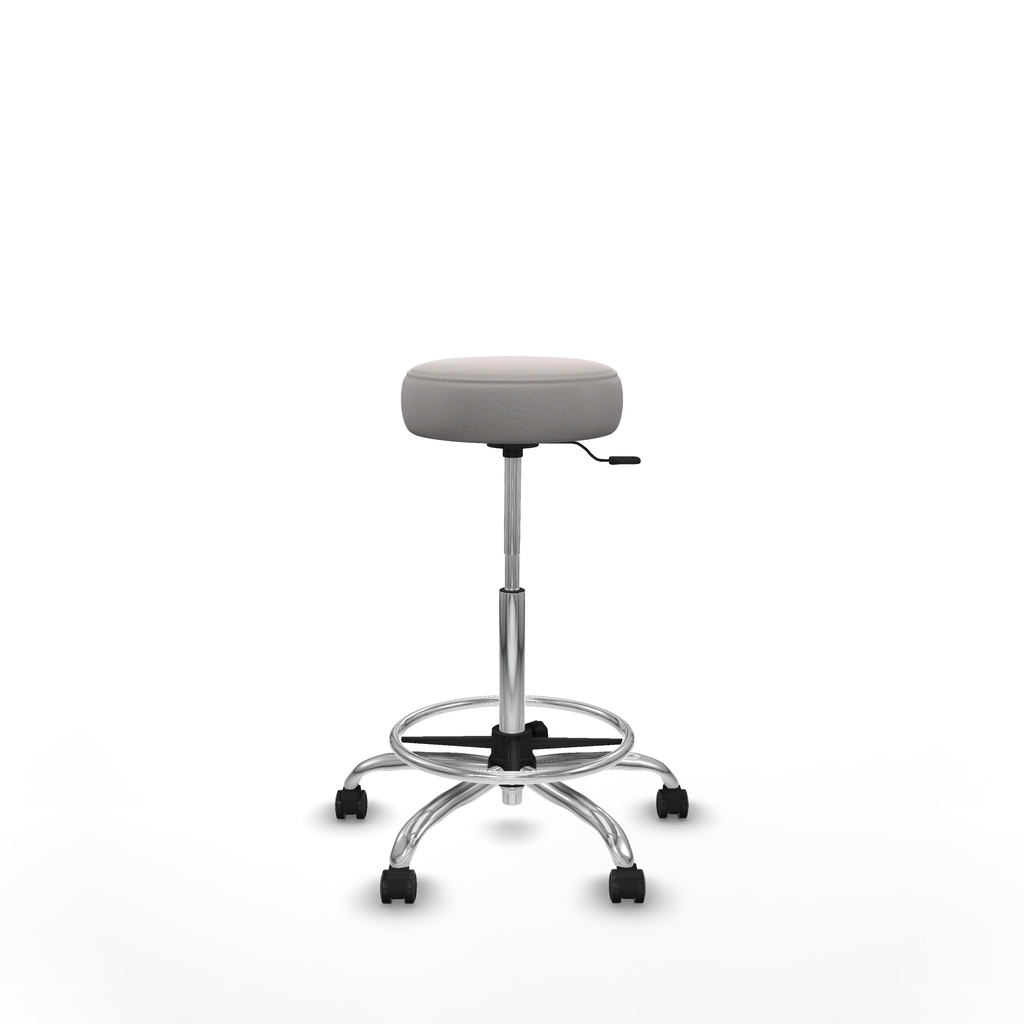 t10gis1005rp1 360 (5).jpg