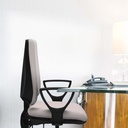 14assbfn066n tecnica 3.jpg