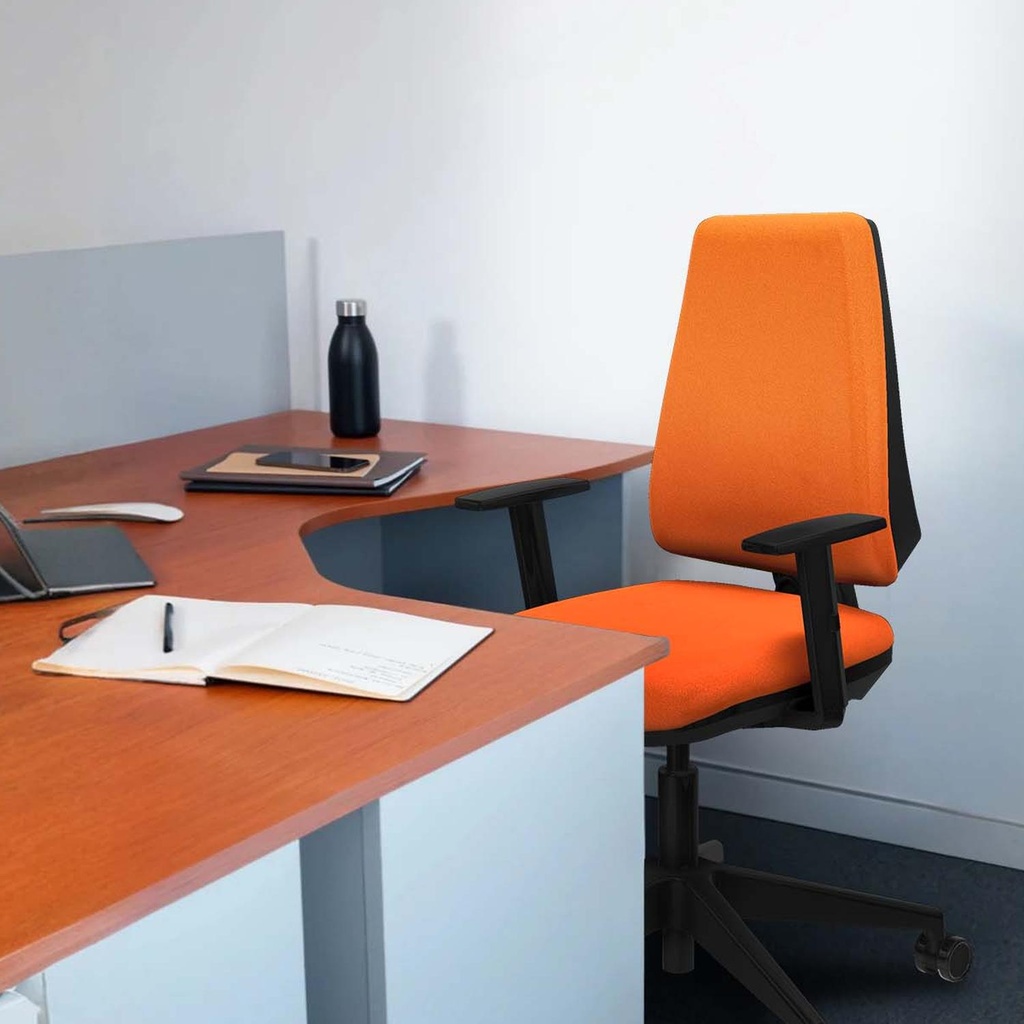 14cpbb1d066n tecnica 3.jpg