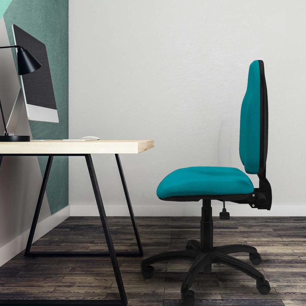 1006asbb0001rn tecnica 3.jpg