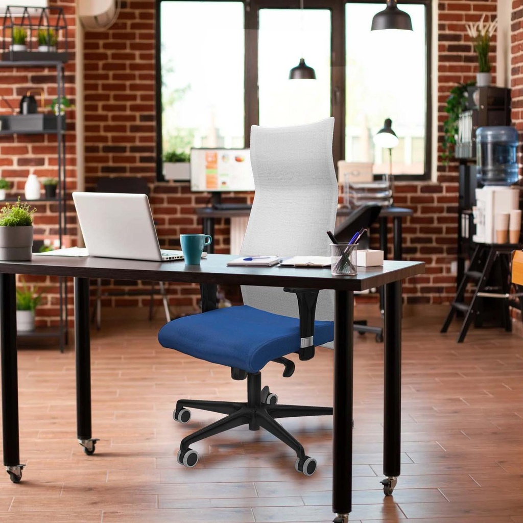 13s4mbb1c036g tecnica 2.jpg