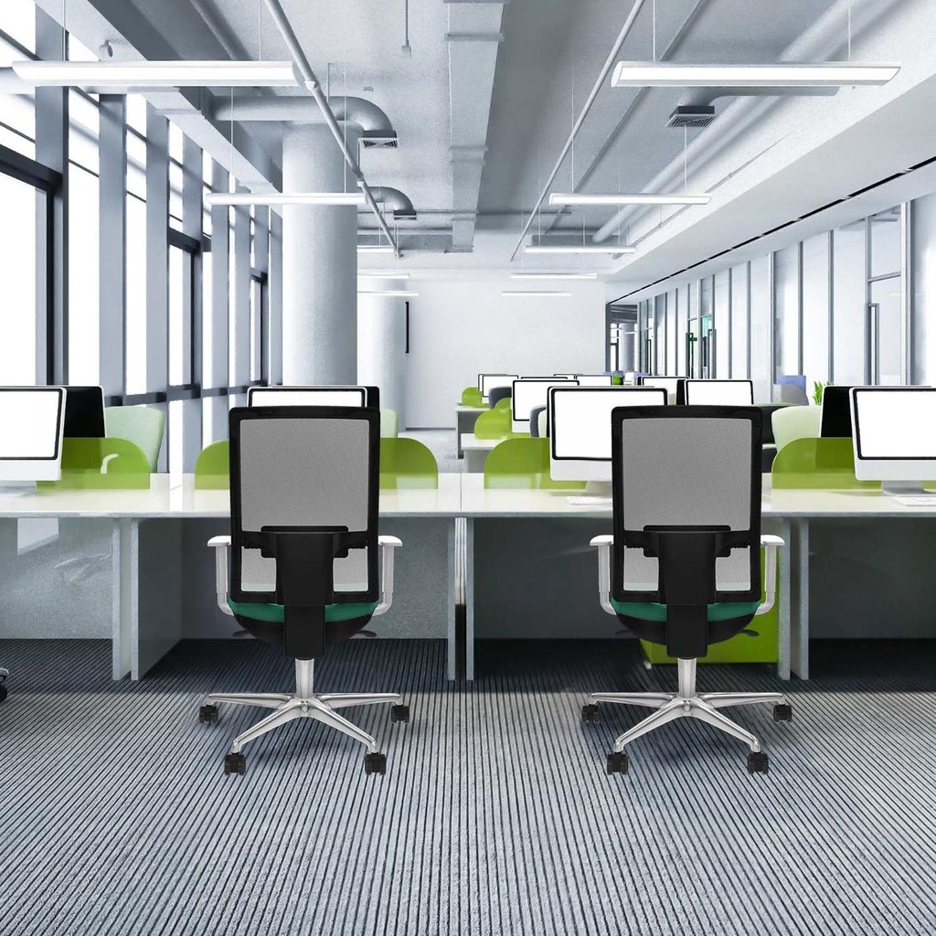 10s4mbb4b086n0 tecnica.jpg