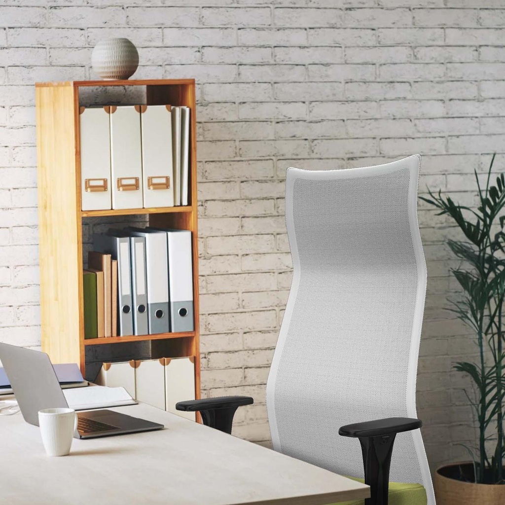 13xls4mbb1c086g tecnica 2.jpg