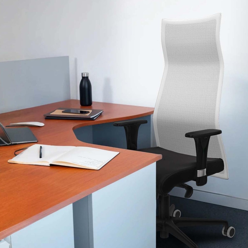 13xls4msb1c036g tecnica 3.jpg