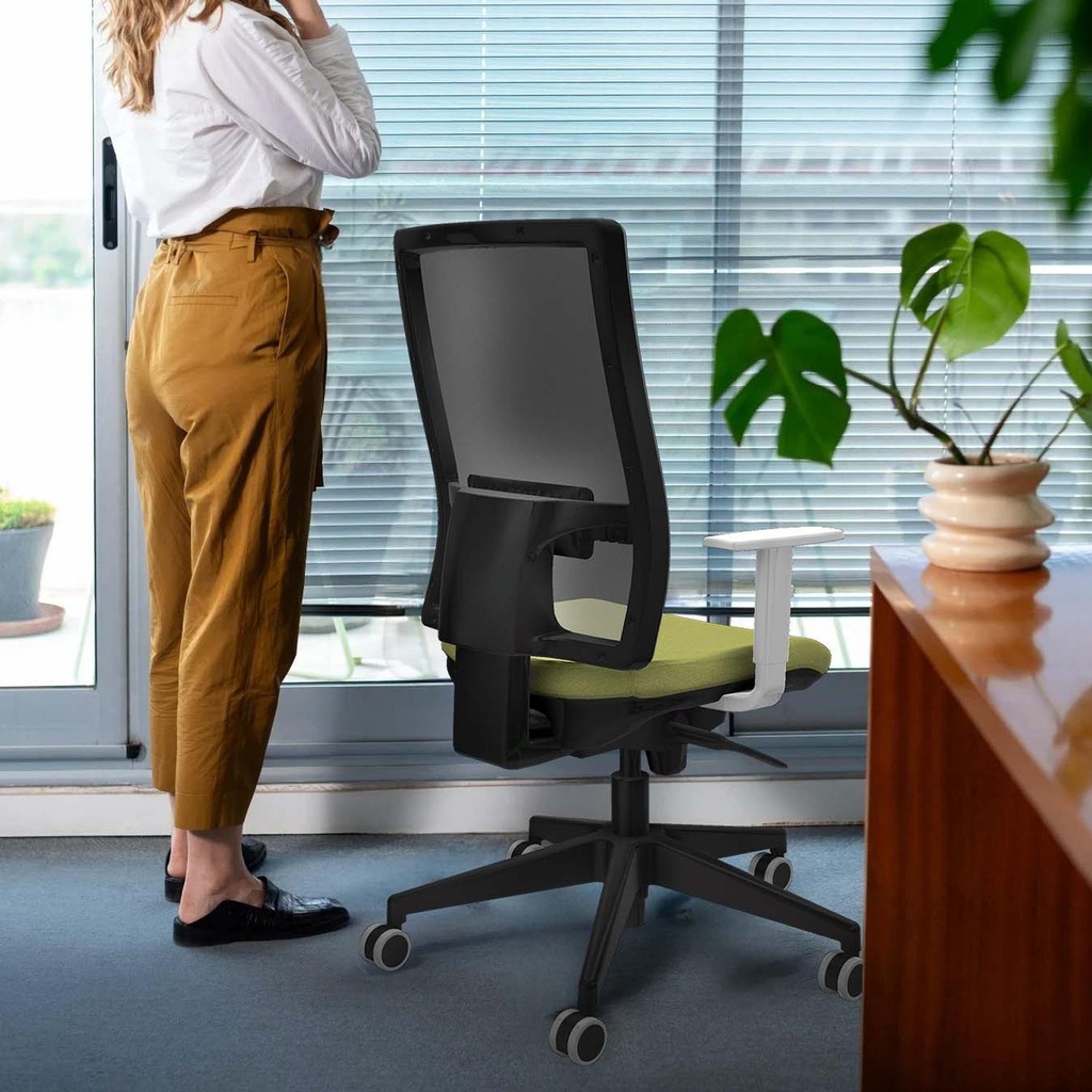 10s4mbb4b066g0 tecnica.jpg