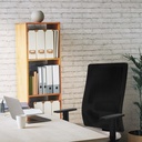 10s4msb1d086g0 tecnica.jpg