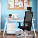 10s4msb1d086n2 tecnica 2.jpg
