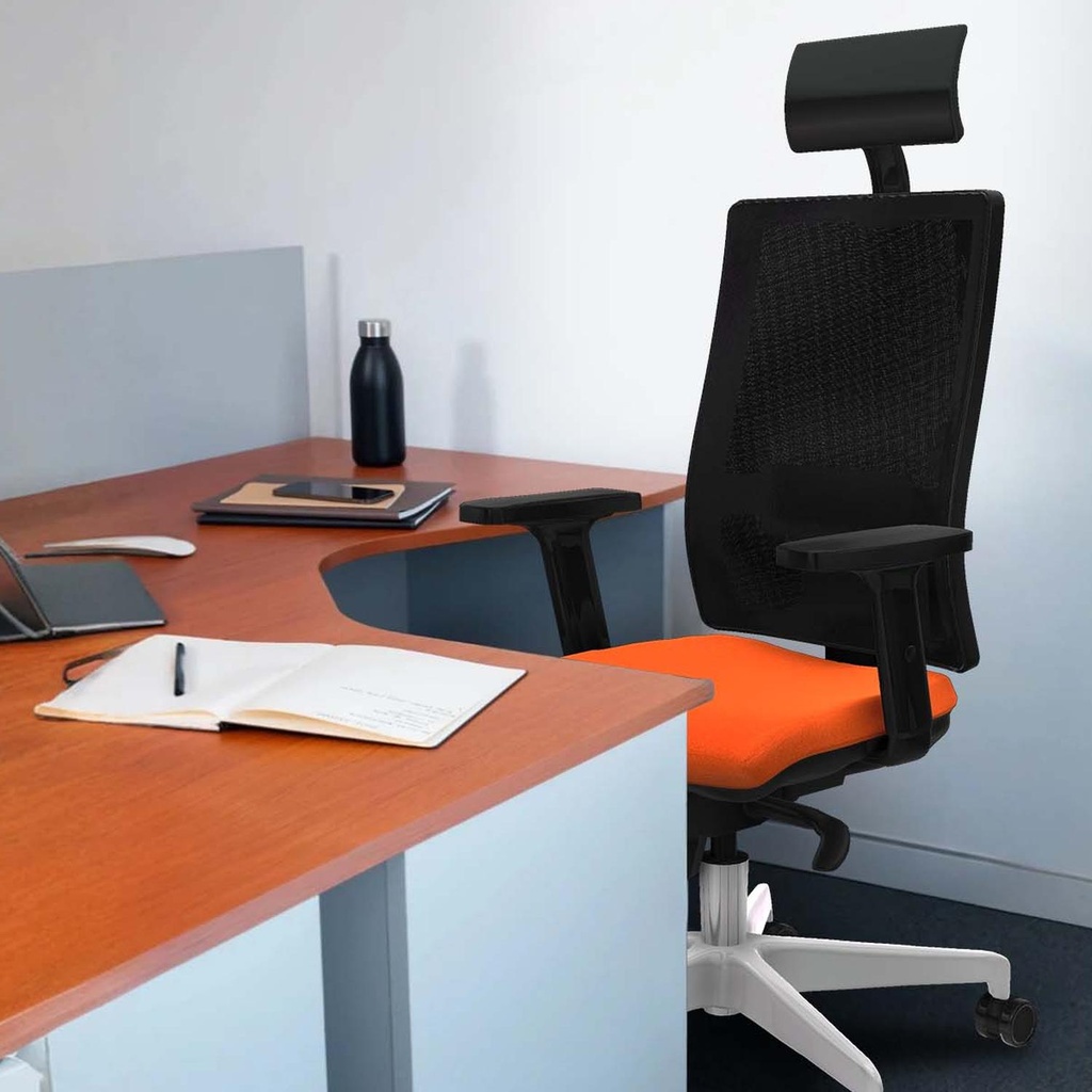 10s4mbb2d026n1 tecnica 2.jpg