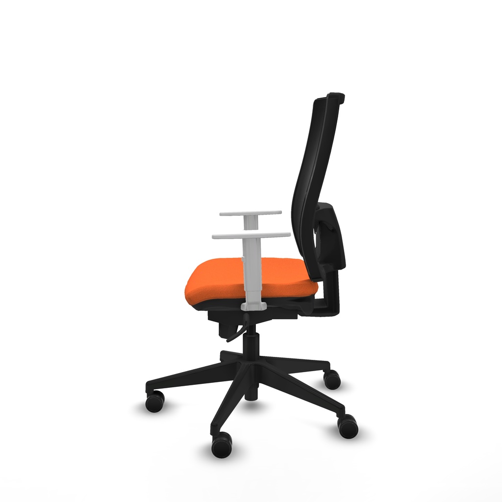 10s4m5b308b4b066n0 360 (3).jpg