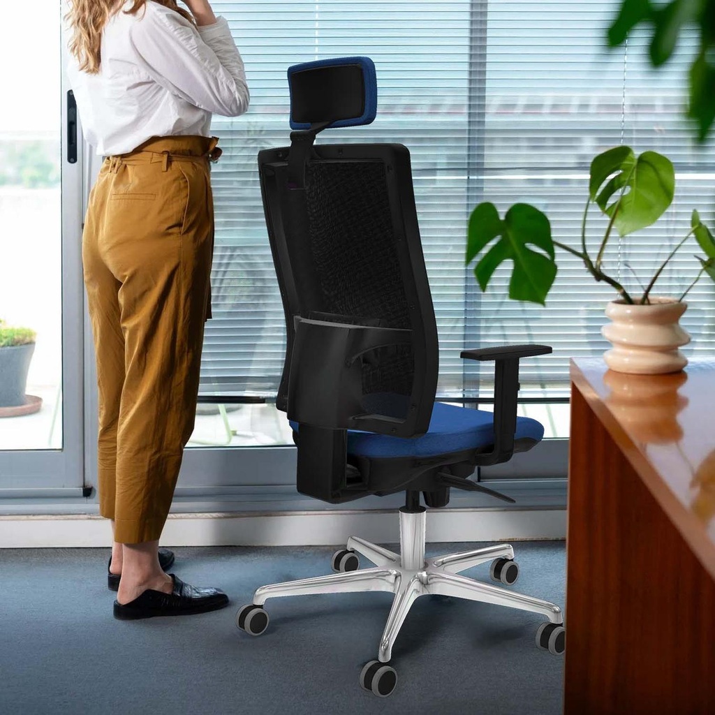10s4mbb1d086g2 tecnica.jpg