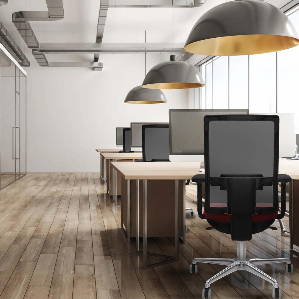 10s4msb2d086g0 tecnica 3.jpg