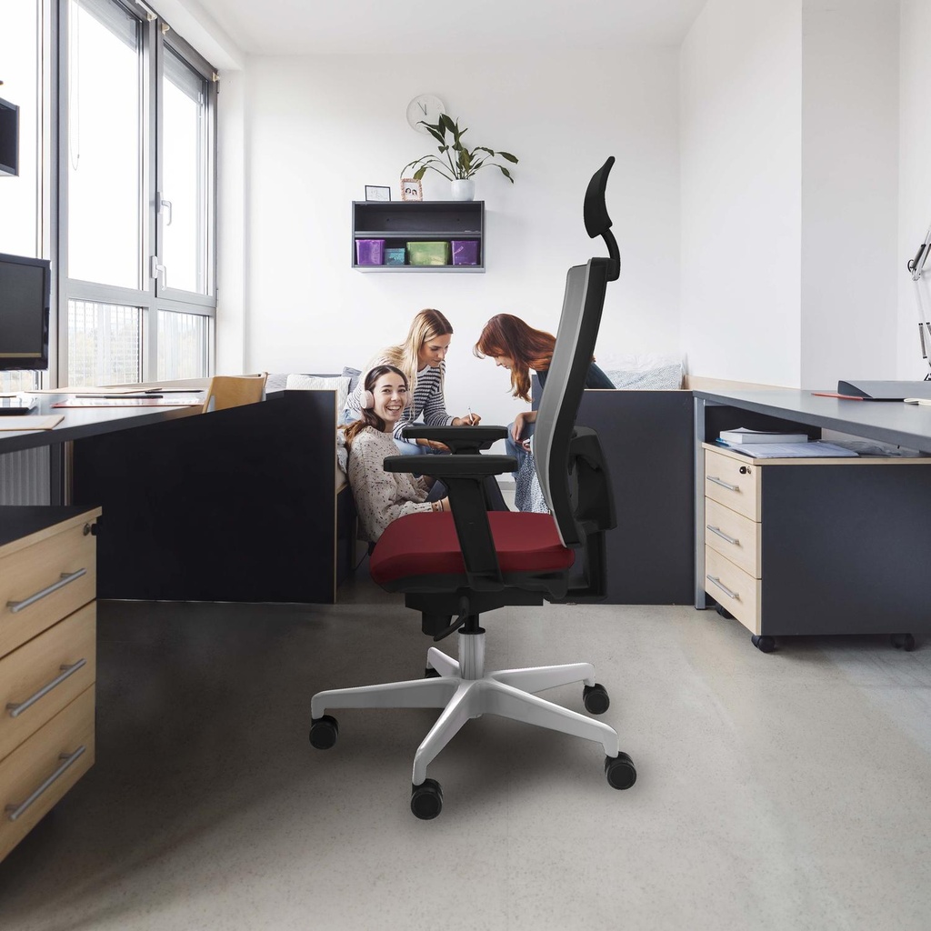 10s4msb2d026n1 tecnica 3.jpg