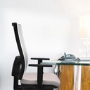 10s4msb1d086n0 tecnica.jpg
