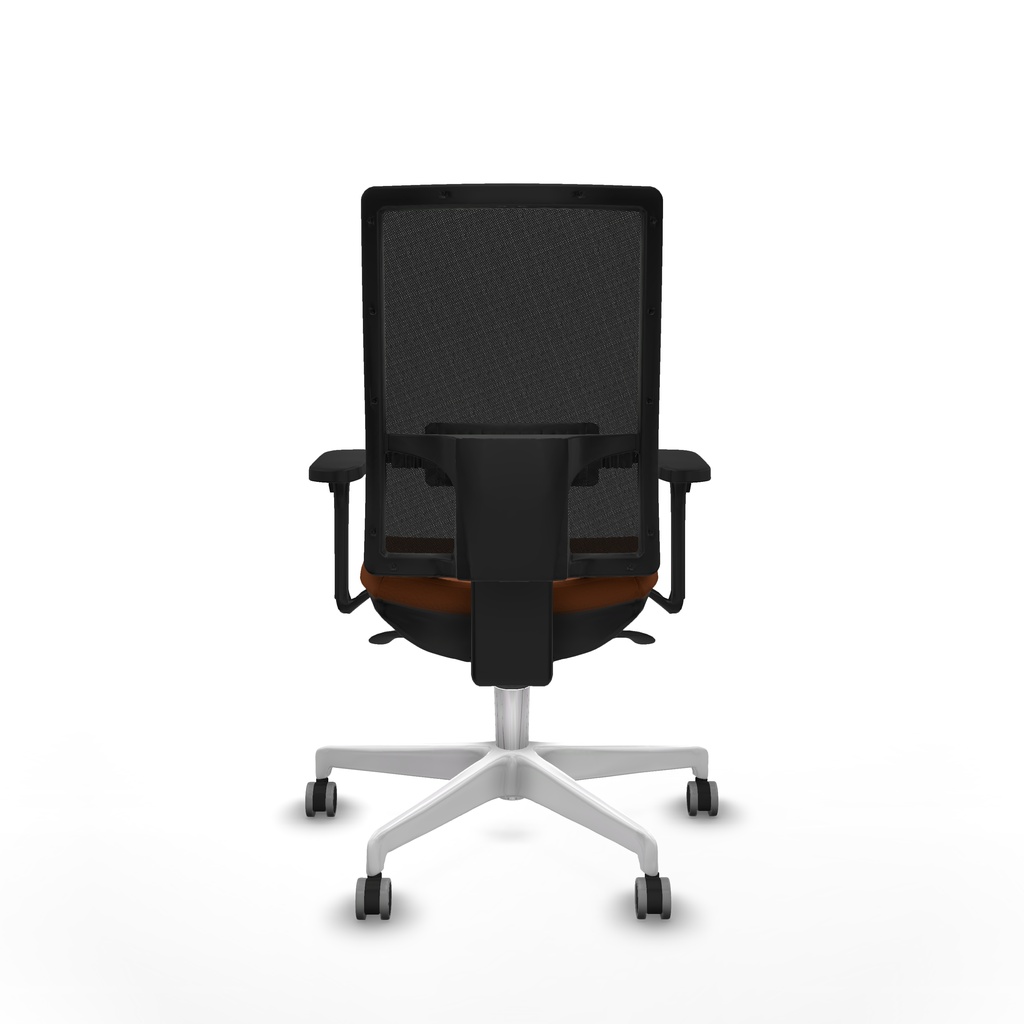 10s4m5s363b3d026g0 360 (5).jpg