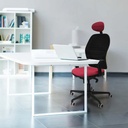 15s4mbb2d036g1 tecnica 3.jpg