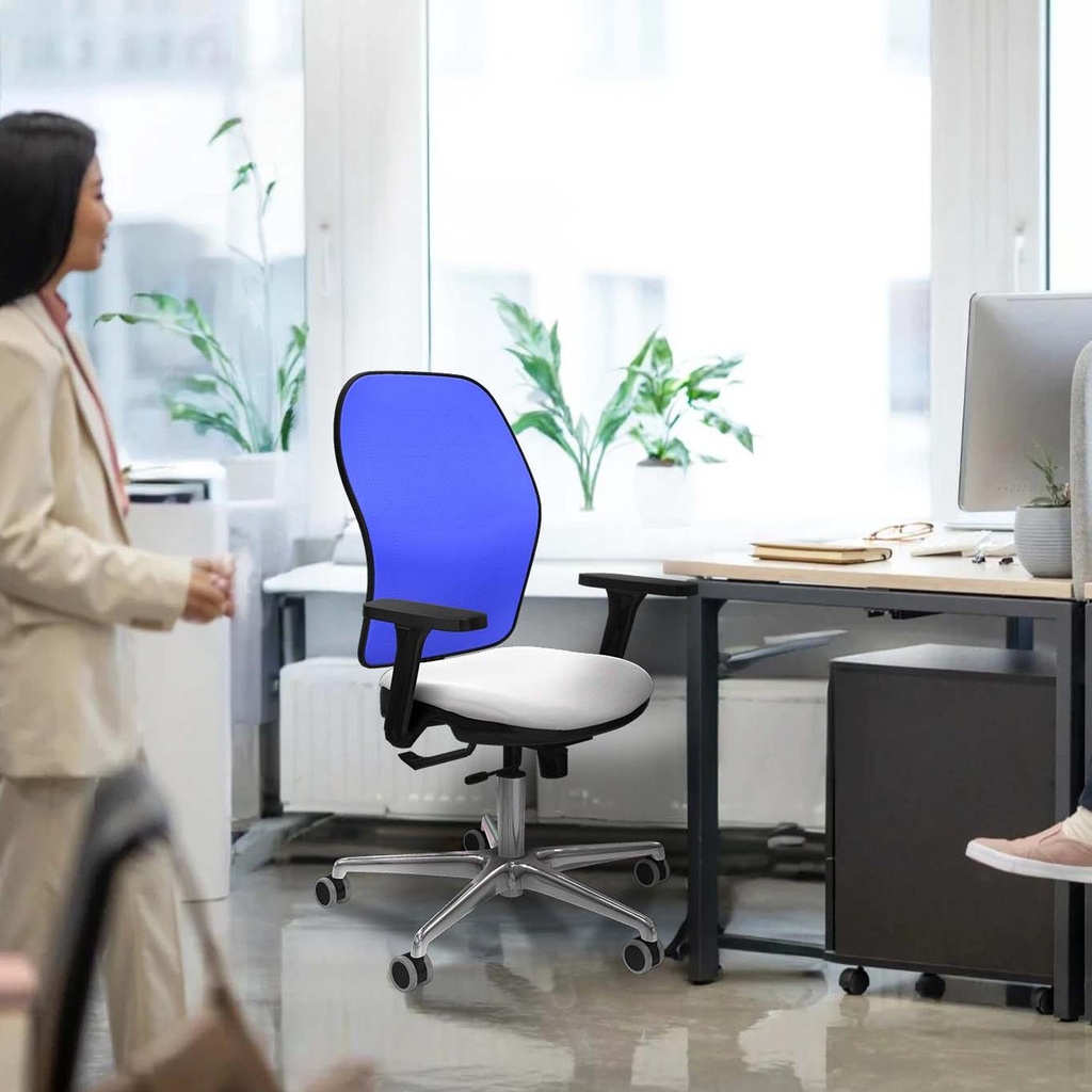 15stmbb3d086g0 tecnica 2.jpg