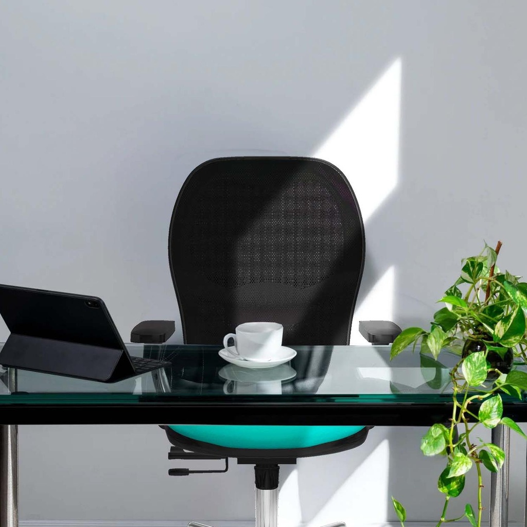 15stmsb2d086n0 tecnica 2.jpg