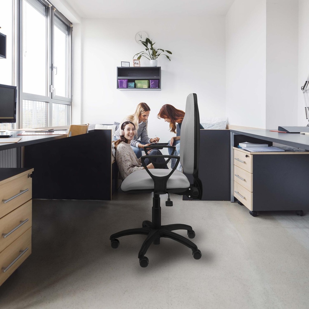 1006asbbfn01rp tecnica 3.jpg