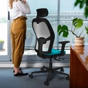 15stmbb2d036n2 tecnica.jpg