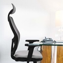 15stmbb2d086n1 tecnica 3.jpg