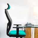15stmsb1d036g2 tecnica 3.jpg