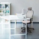 15stmsb1d036n2 tecnica.jpg