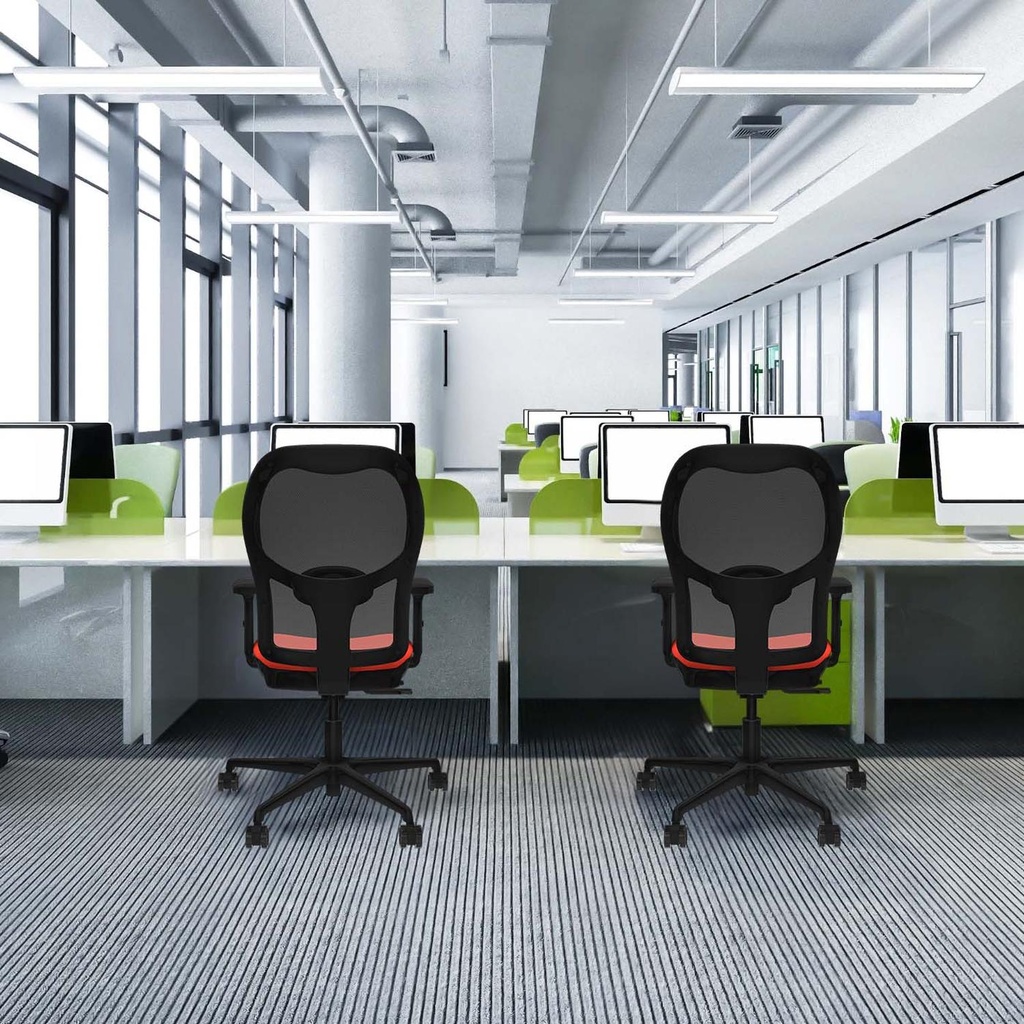 15stmbb2d036n0 tecnica.jpg