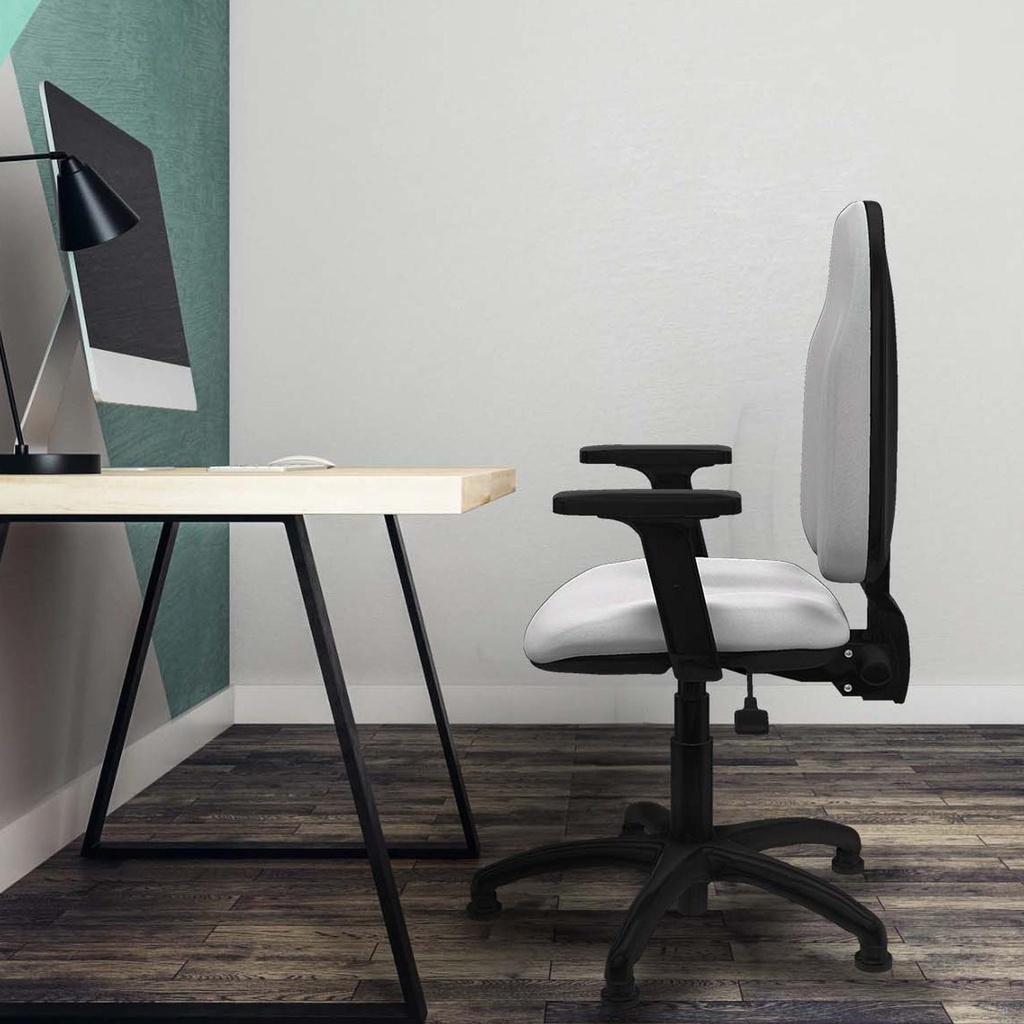 1006asbb2d01rt tecnica 2.jpg