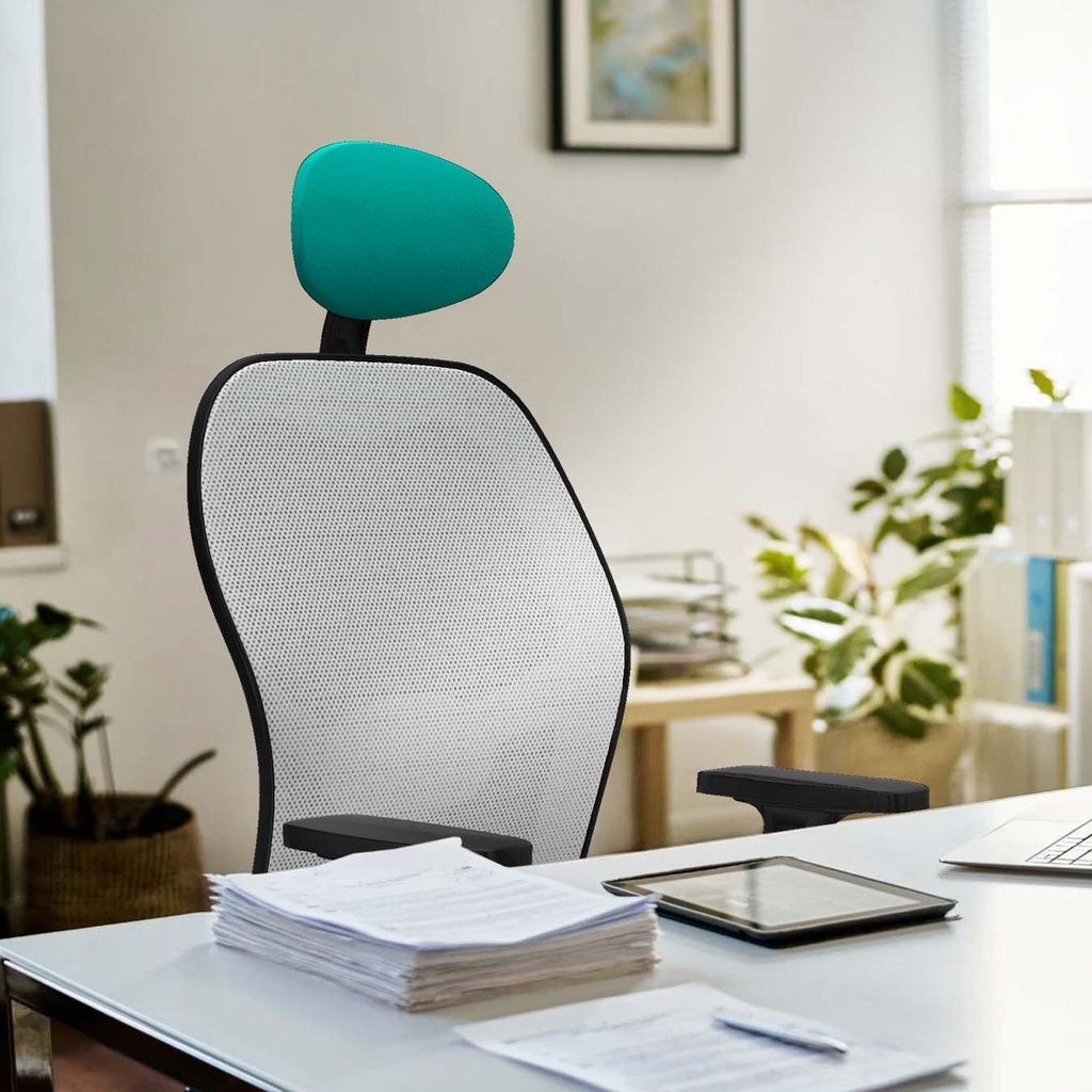 15stmsb2d036g1 tecnica 3.jpg
