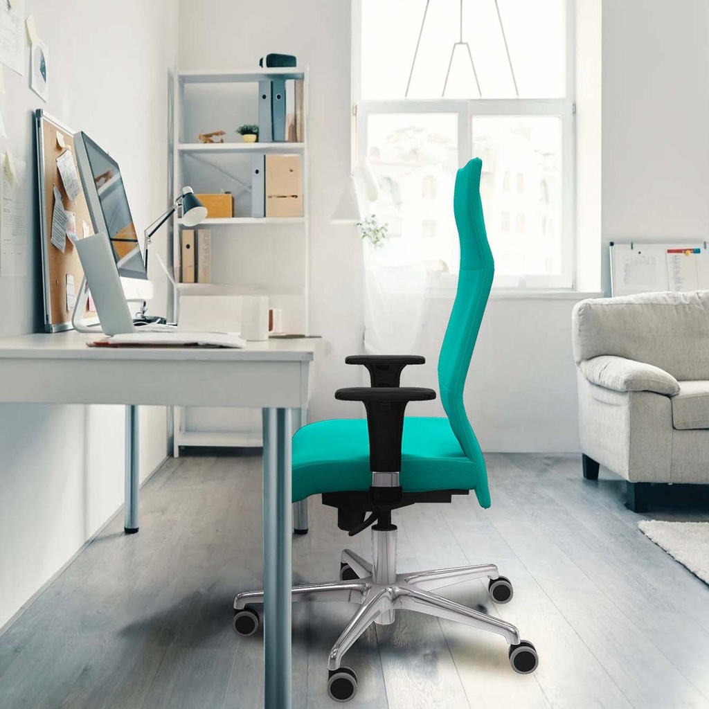 206xls4sb1c086g tecnica.jpg