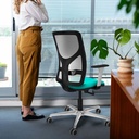 21s2msb1b086g0 tecnica 3.jpg