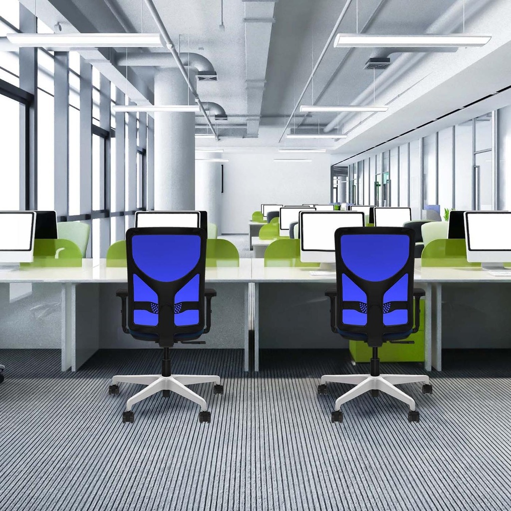 21s2msb2d026n0 tecnica.jpg