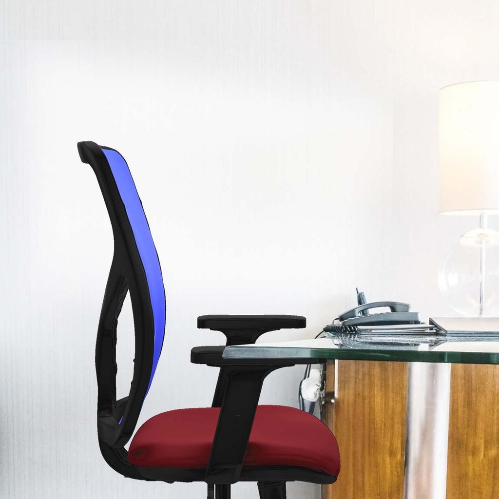 21s2msb2d086g0 tecnica 2.jpg