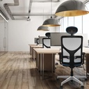 21s2mbb2d026n1 tecnica 2.jpg