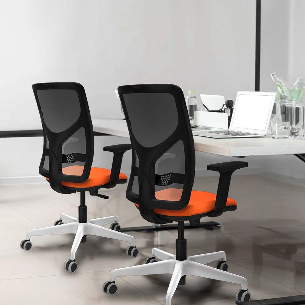 21s2mbb2d026g0 tecnica 2.jpg