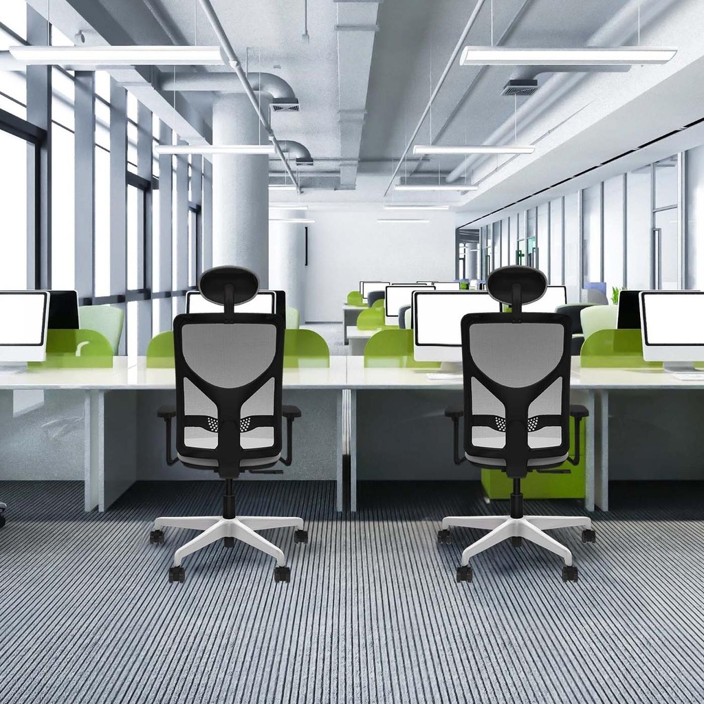 21s2mbb3d026n1 tecnica.jpg