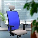 21s2msb1d066g1 tecnica 3.jpg