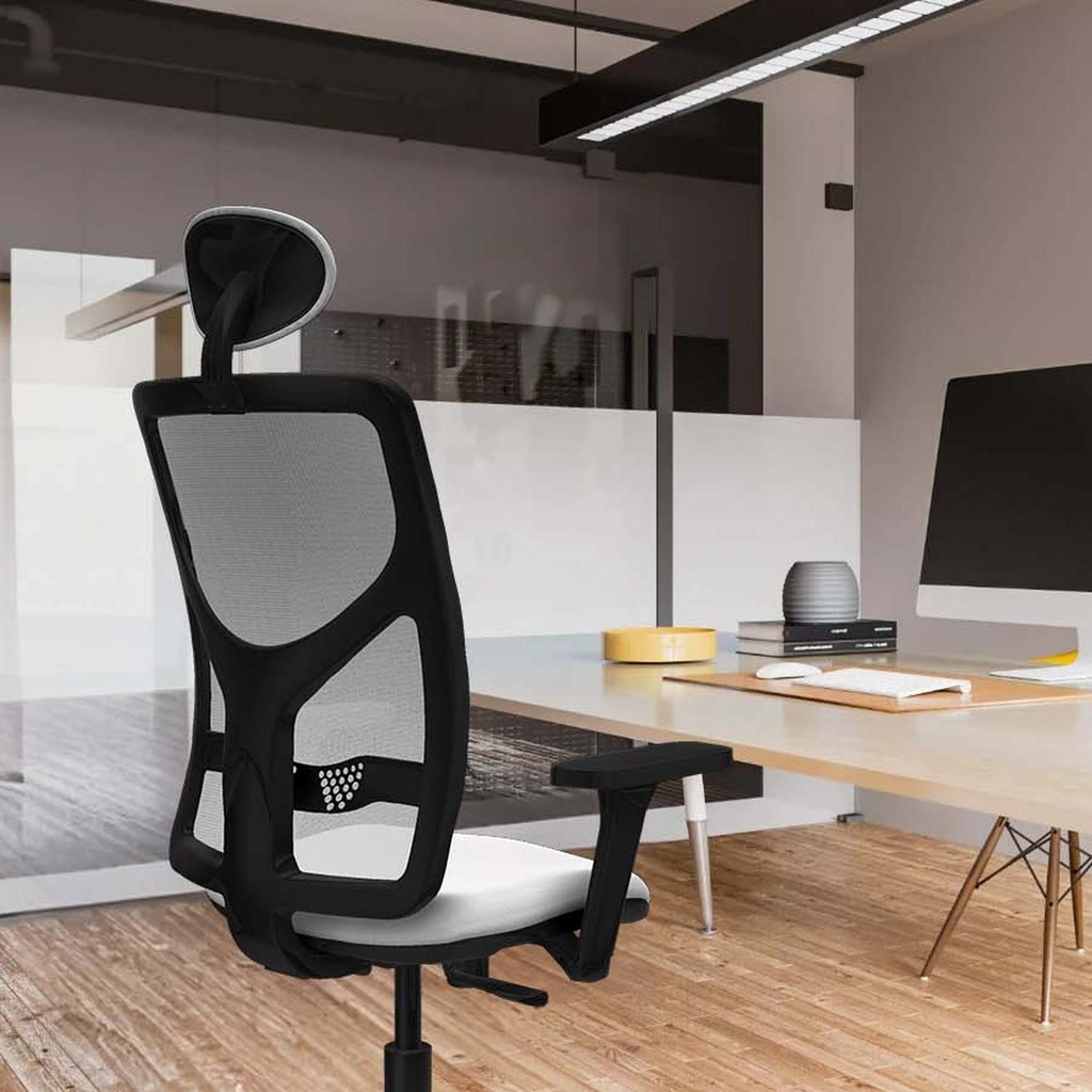 21s2mbb3d086g1 tecnica 2.jpg