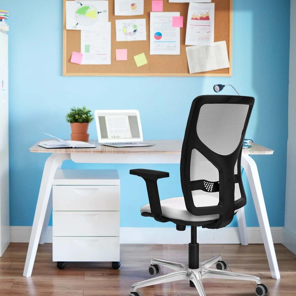 21s2mbb2d086g0 tecnica 2.jpg