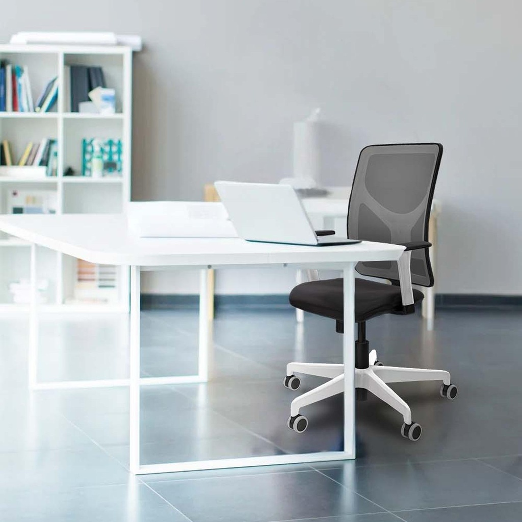 21s2msb1b026g0 tecnica 3.jpg